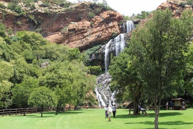 Things to do in Roodepoort Area